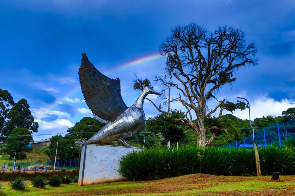 37c3fc9c Domingo No Parque 1024x682