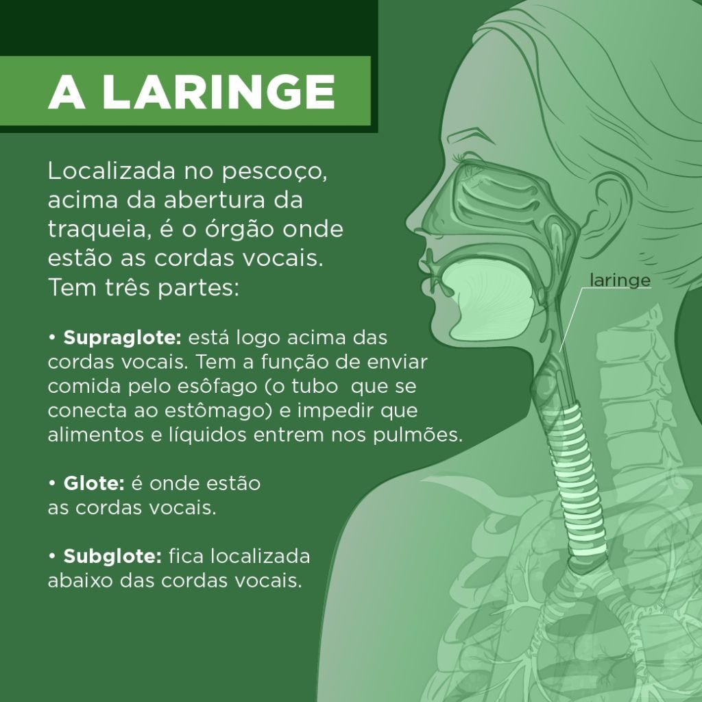 Julho Verde: Câncer de laringe é doença 5 vezes mais comum nos homens 3f892772 Laringe2 1024x1024