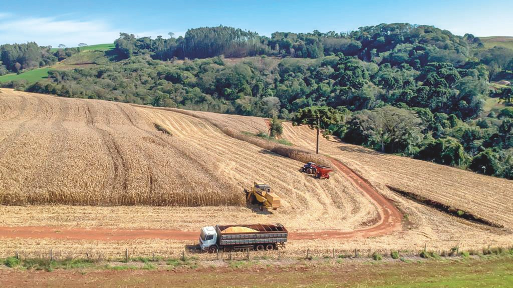 Ba07610f Foto 1 Rodinei Santos 1024x575