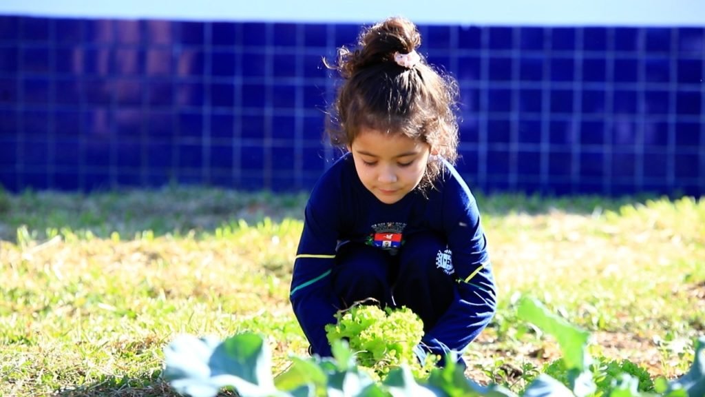 Alunos da rede municipal de ensino participam do projeto Meu canteiro 4dc8ff7a Meu Canteiro 1024x576