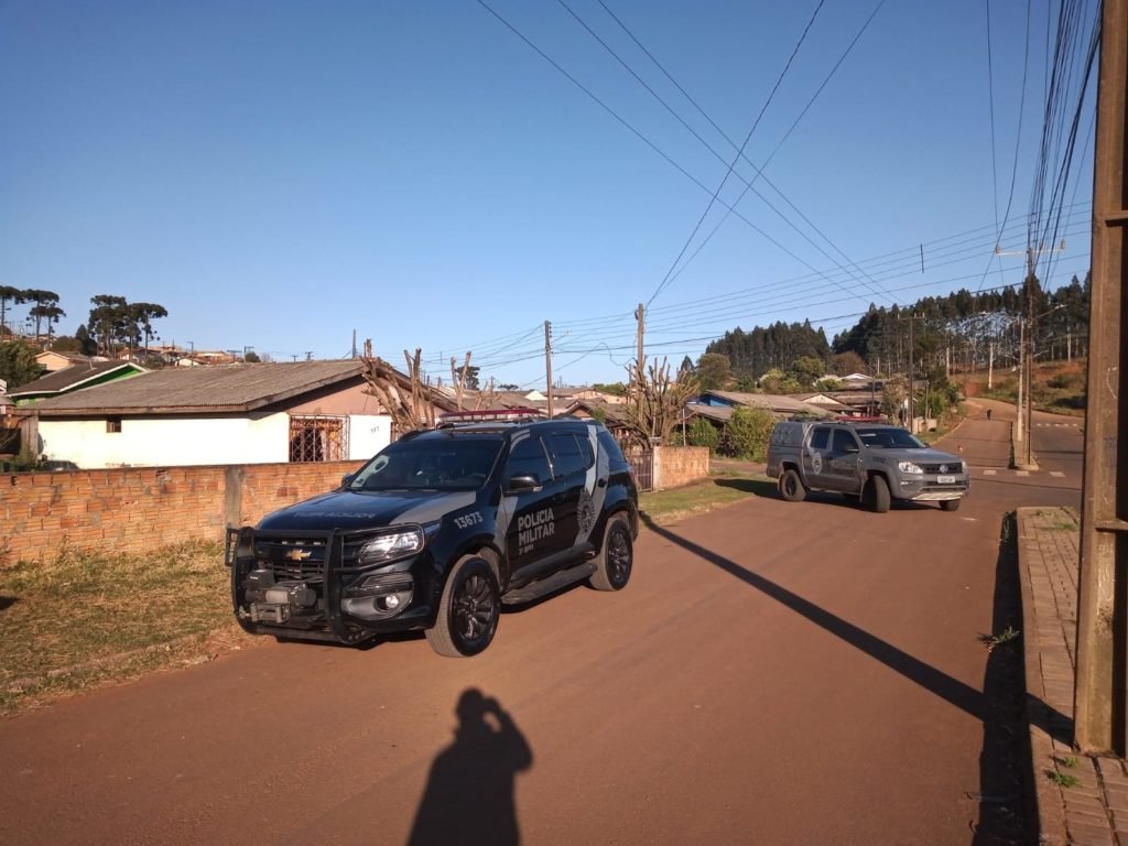 62320ad1 Palmas 1024x768