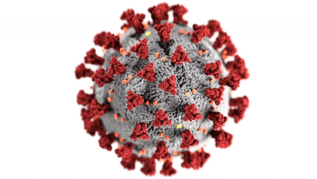 85f12af2 Covid 03 08 2022 1024x580