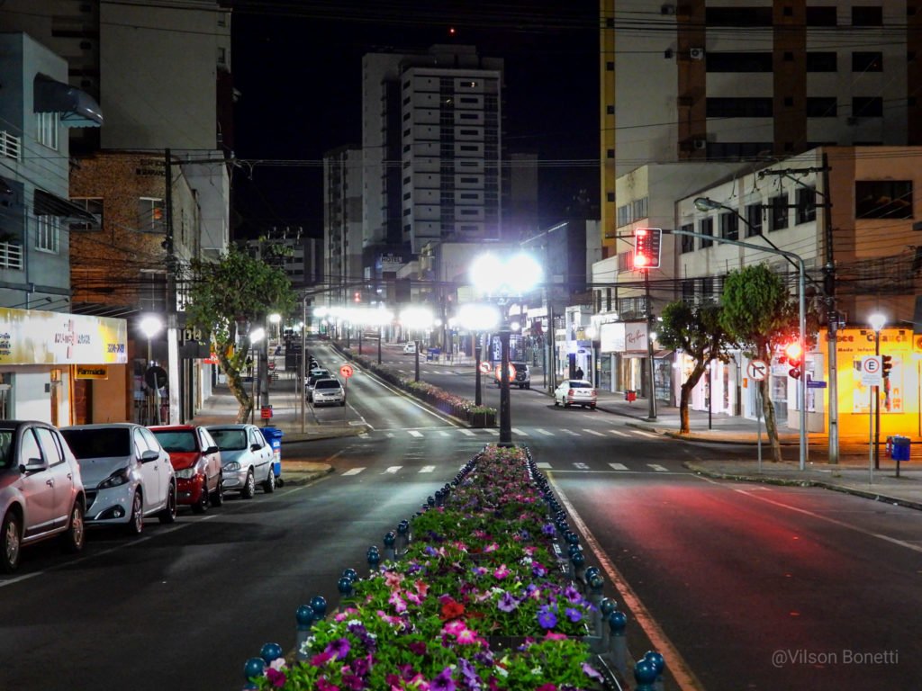 D49a0035 Monkey 1024x768