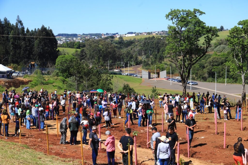 356abb9d Ipes 1024x683