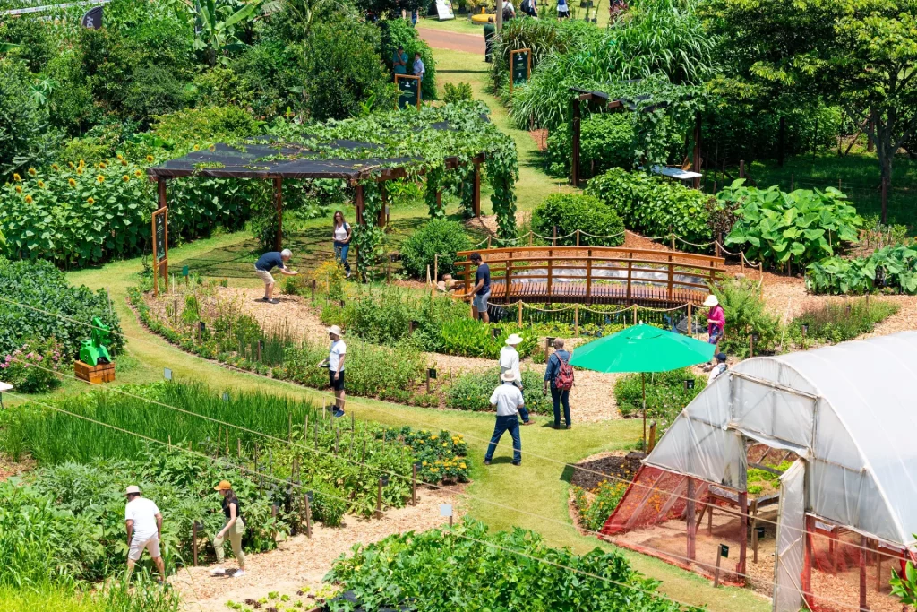 Vitrine Tecnológica de Agroecologia