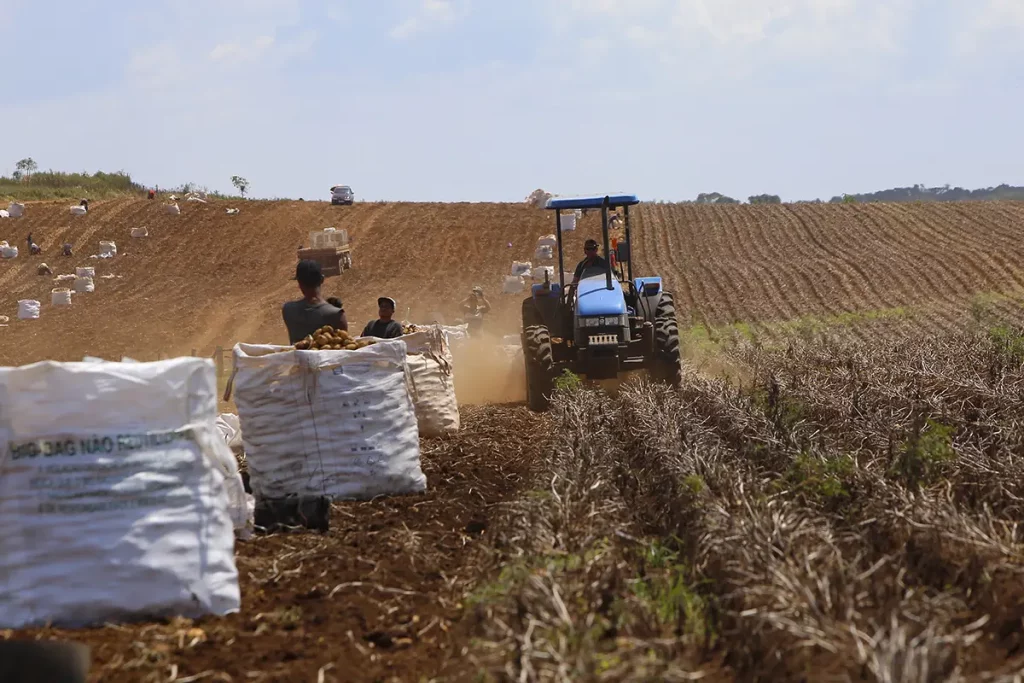 produtores rurais