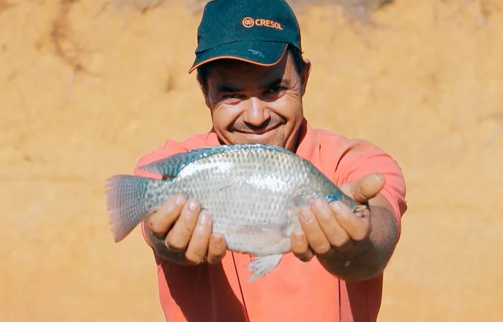 cresol-e-bndes-idione-manhumirim