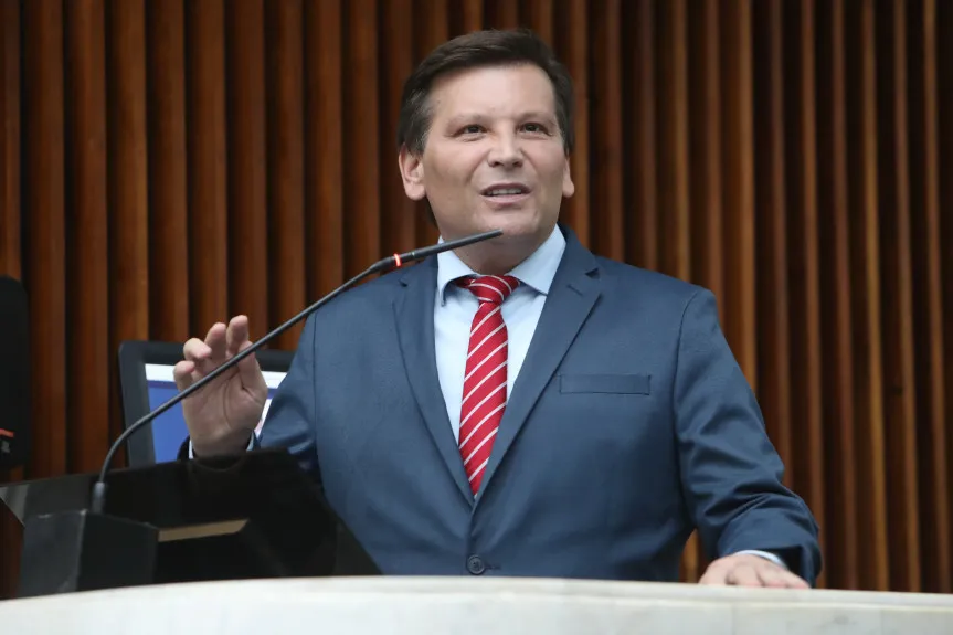 deputado paulo gomes