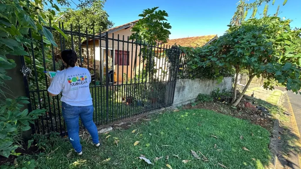 assistência social