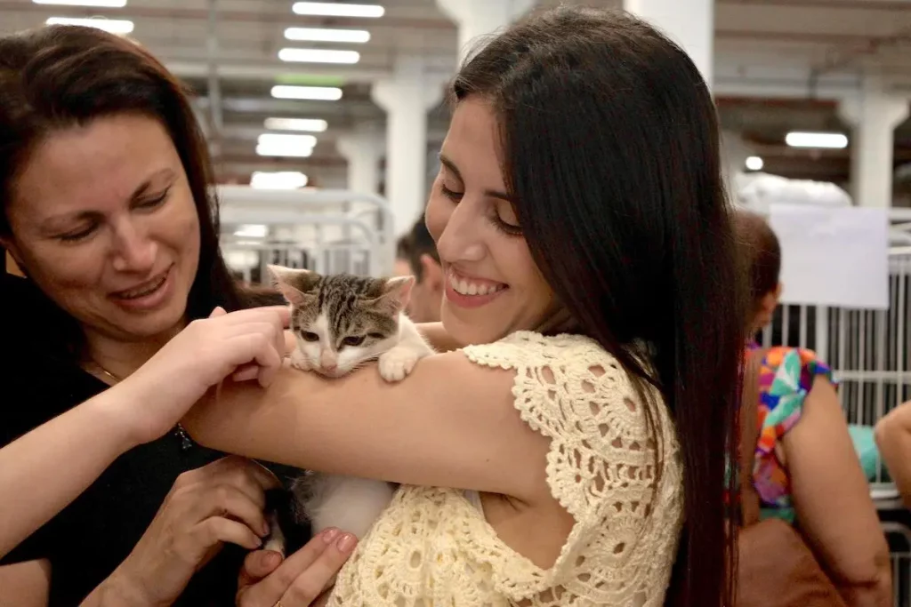 adoção cães e gatos