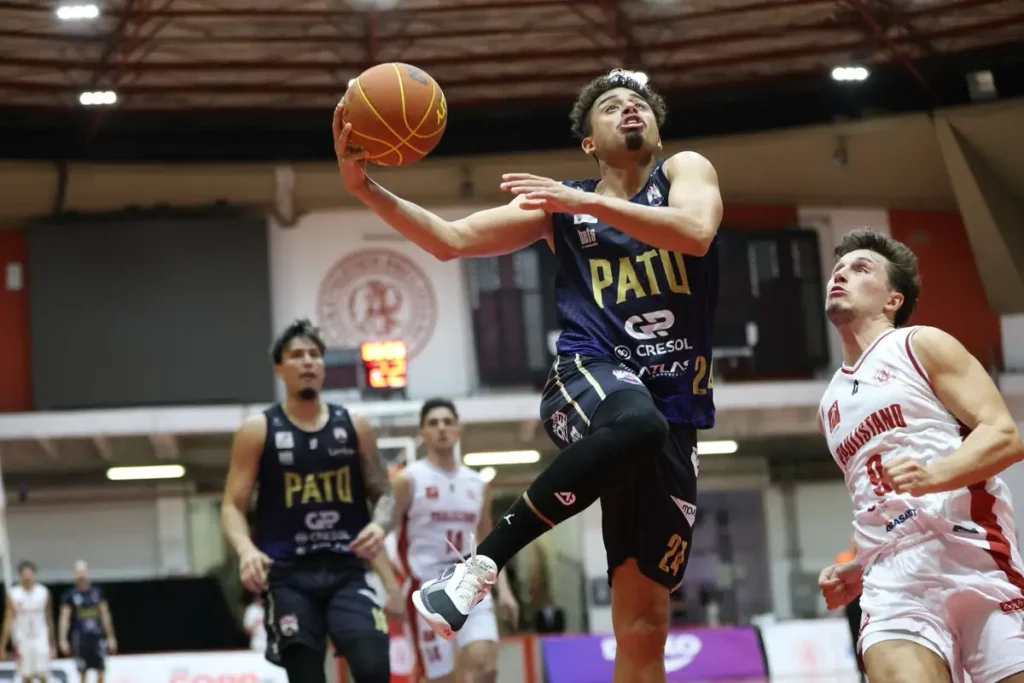 Pato basquete