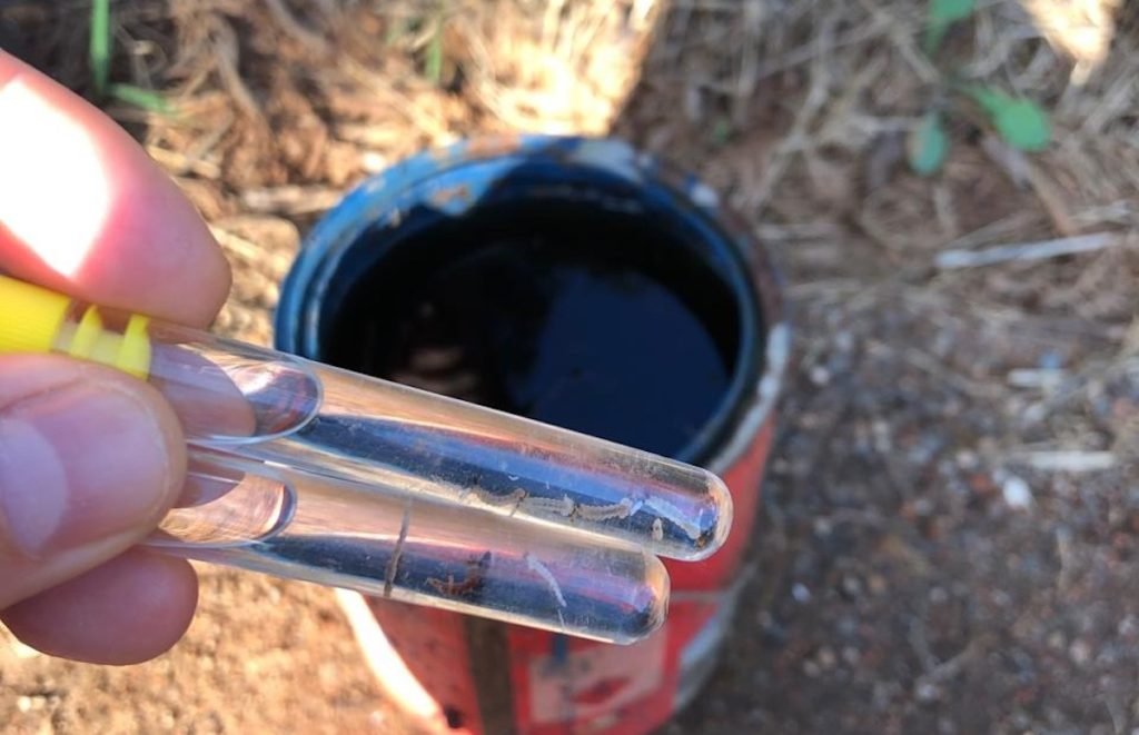 Francisco Beltrão confirma primeiro caso de chikungunya chikungunya