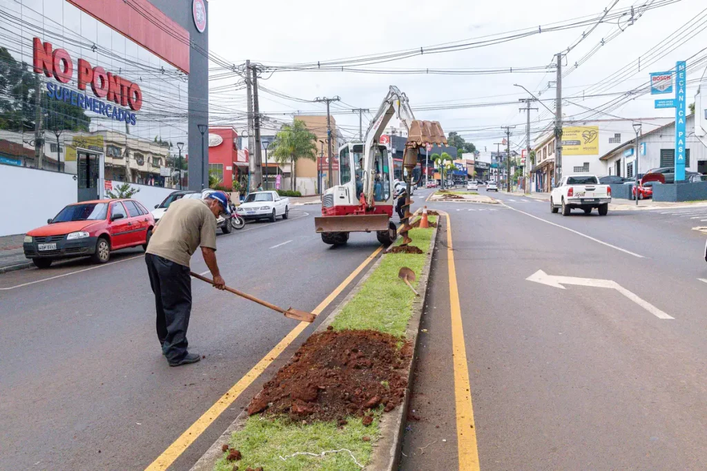 Plano de Arborização