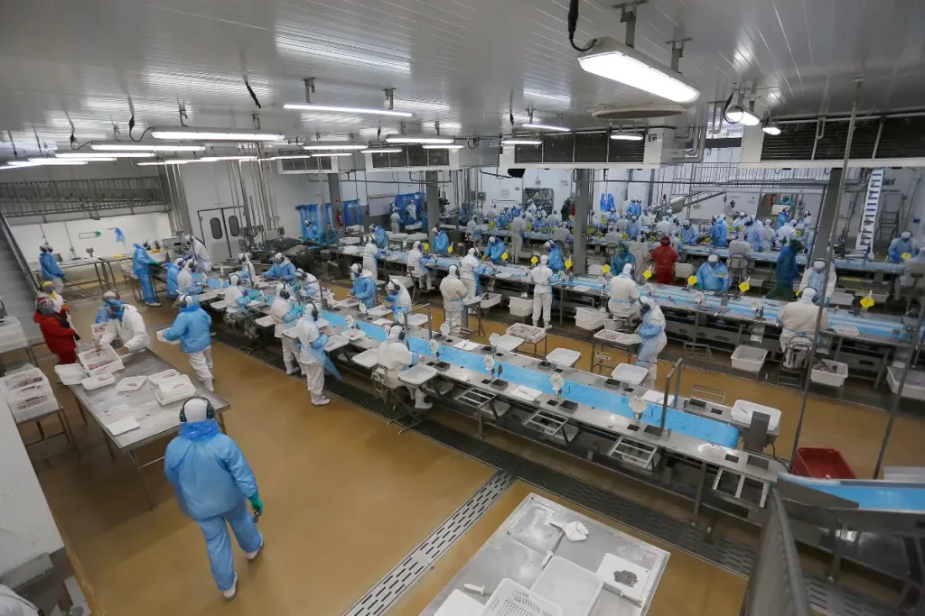 Paraná abre 22,5 mil vagas de emprego em todas as regiões emprego