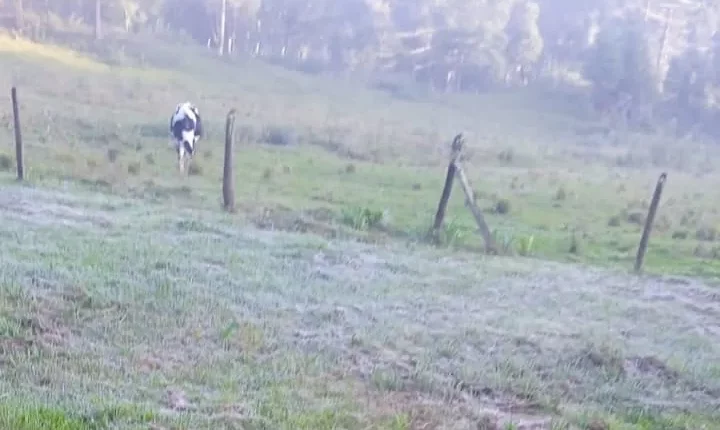 frio geada