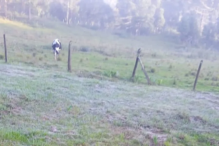 Semana inicia com chuva e retorno do frio frio geada