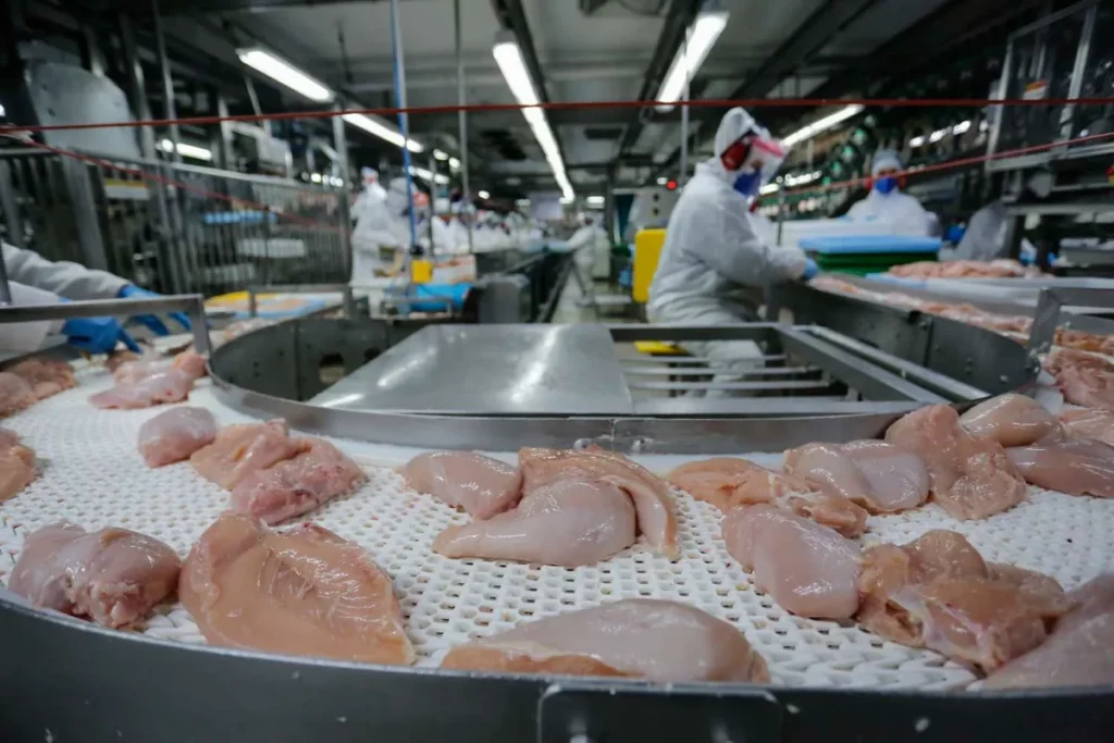 Exportações de carnes do Paraná somam US$ 1,56 bi até abril abate de frango