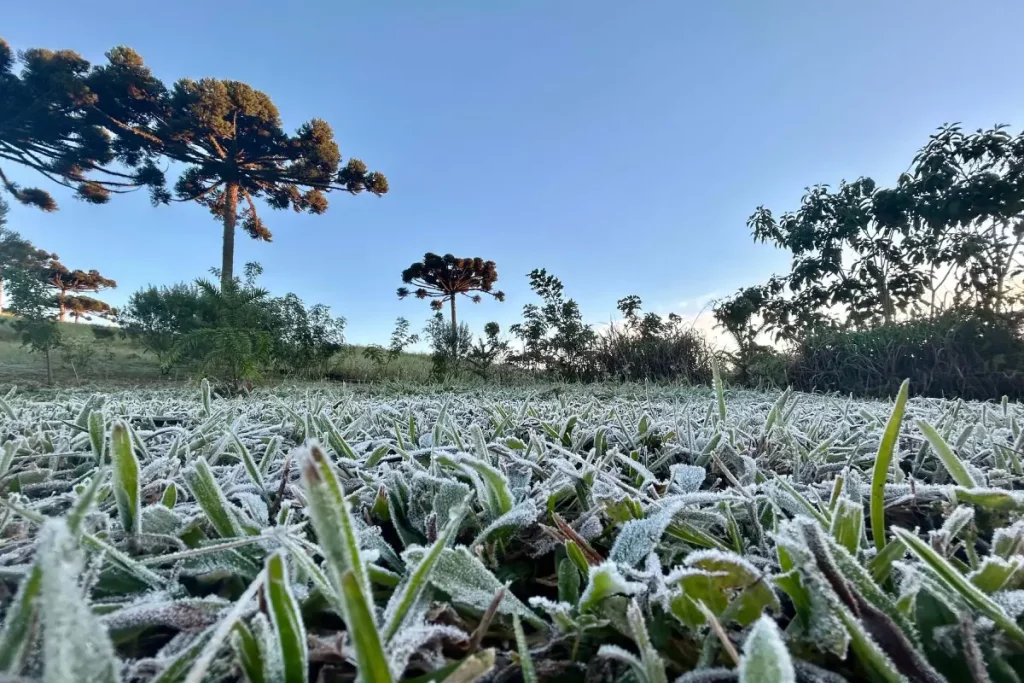 Paraná terá geadas e temperaturas negativas no início de junho geada