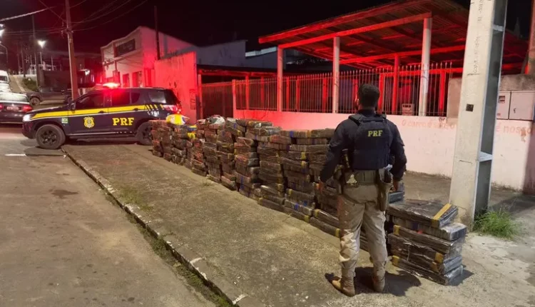 maconha São Mateus do Sul
