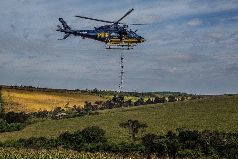 PRF Sementes Semeadura Aérea