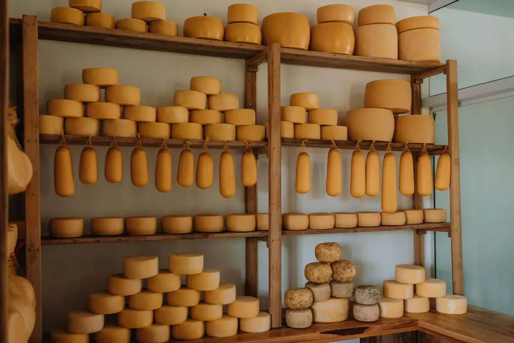 queijo colonial do Sudoeste