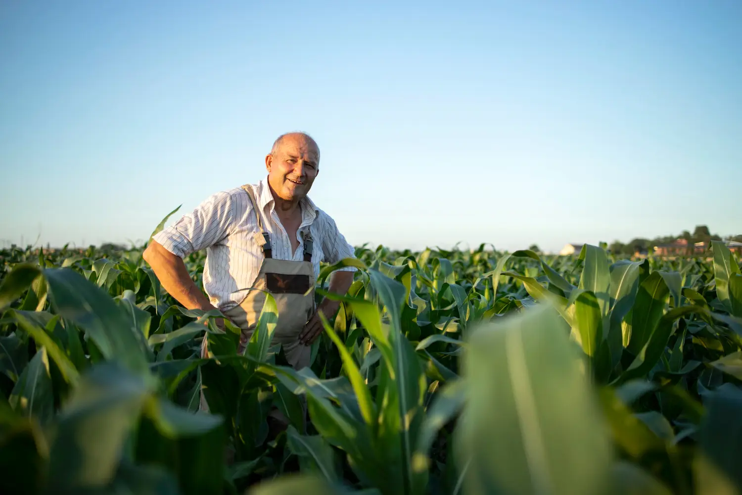 agricultor