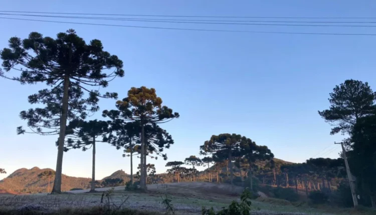 inverno