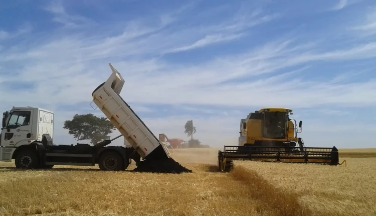 sanepar lodo agrícola
