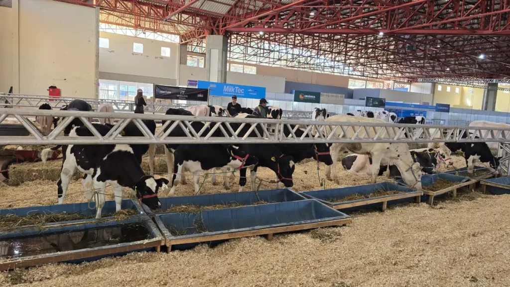 Via Tecnológica do Leite apresenta inovações para o agro via tecnológica do leite