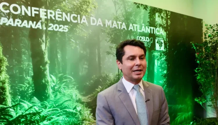 alexandre Curi Cosud