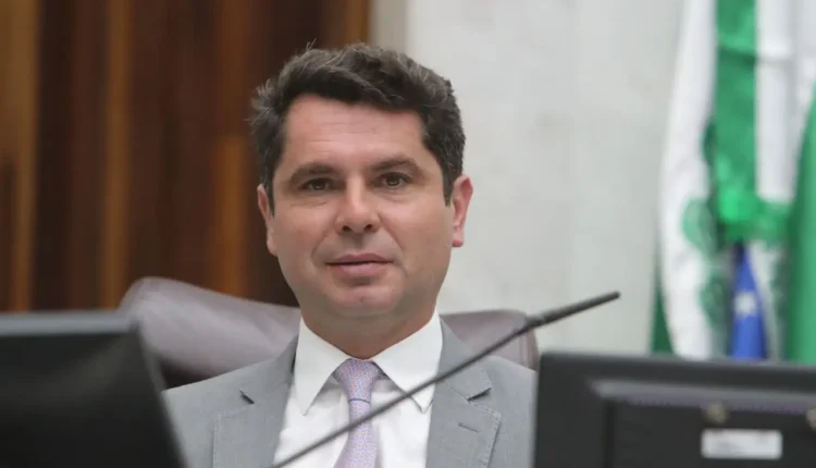 alexandre curi