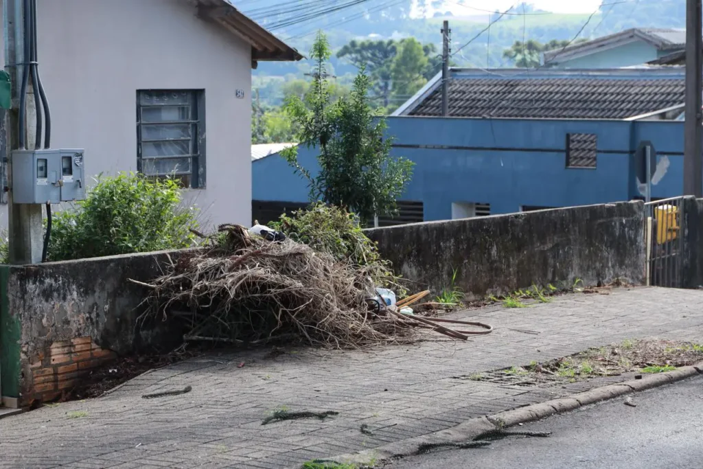Pato Branco inicia execução do Projeto Brook Ambiental e Social projeto brook ambiental