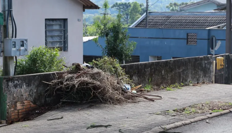 projeto brook ambiental