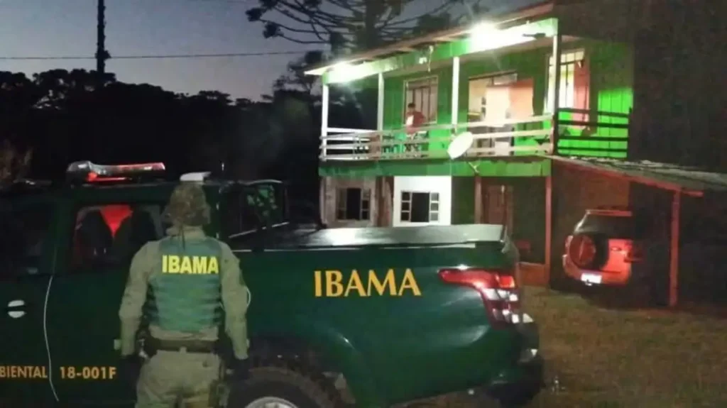 PF prende cacique e vice-cacique por desmatamento em Mangueirinha indigena maguerinha