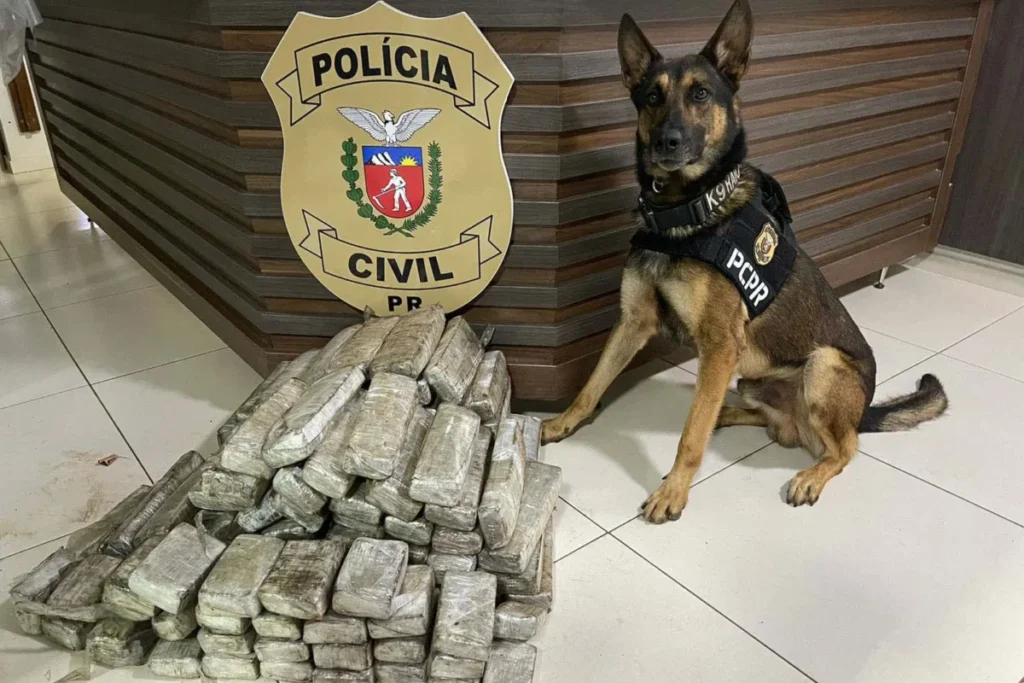 k9 pcpr