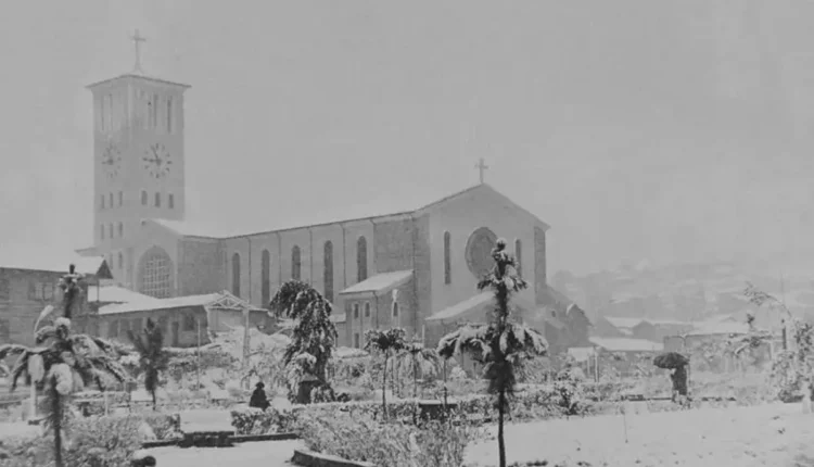 neve