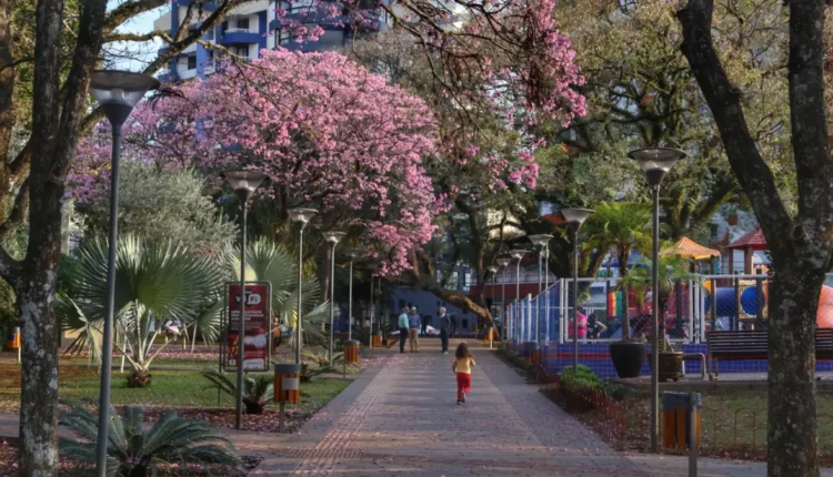 praça Presidente Vargas Pato Branco