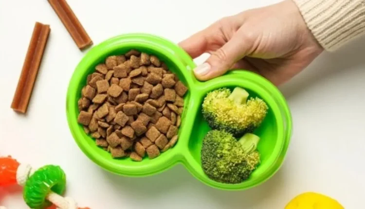 ração ou alimentação natural