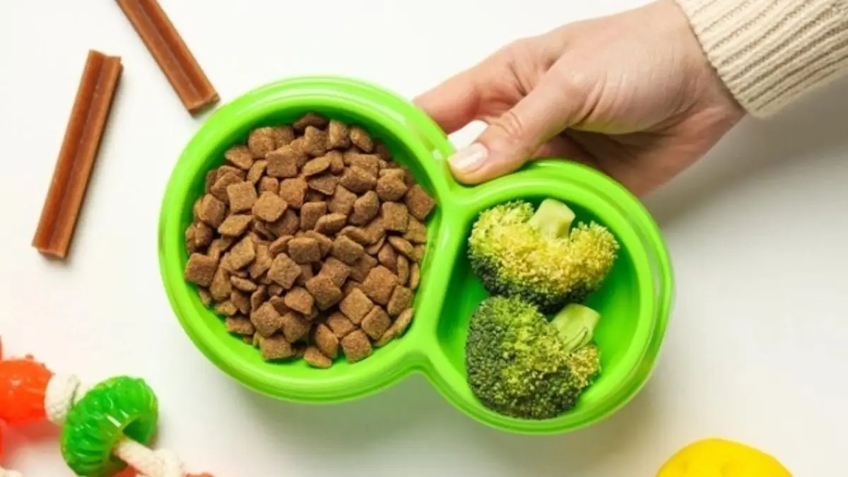 ração ou alimentação natural