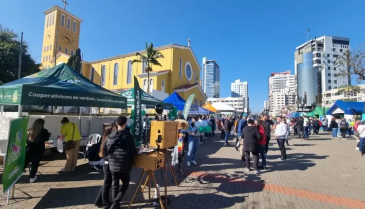 Dia C de Cooperar Pato Branco
