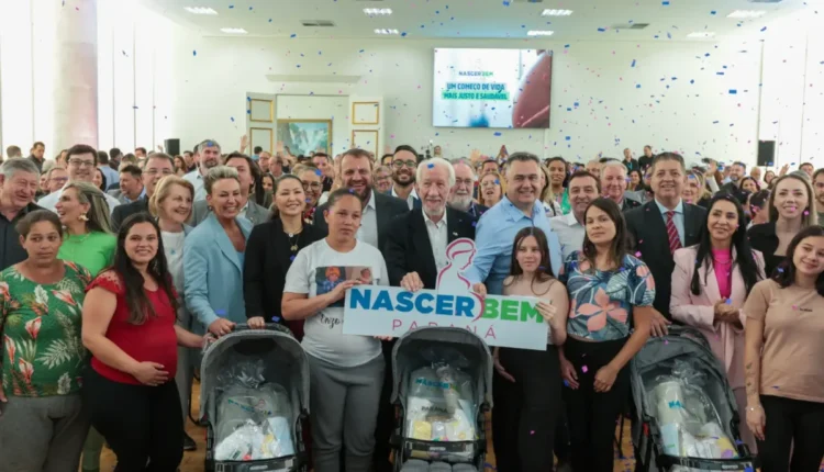 nascer bem paraná