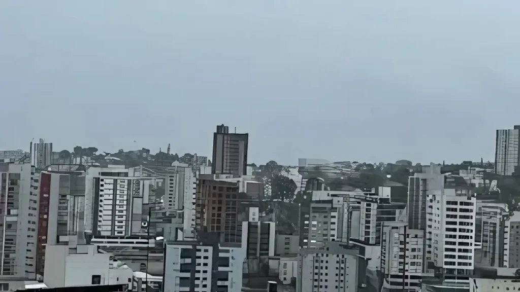 pato branco