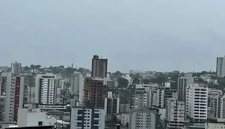 pato branco