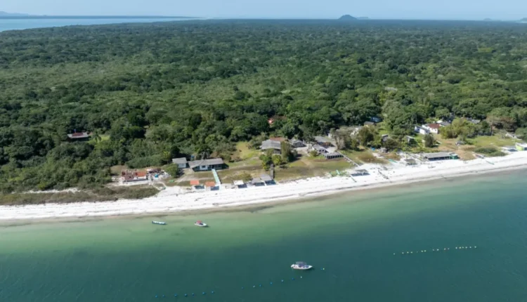 ponta oeste ilha do mel