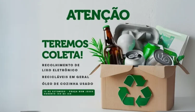 reciclagem palmas