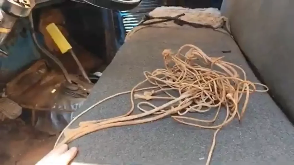 caminhão corda