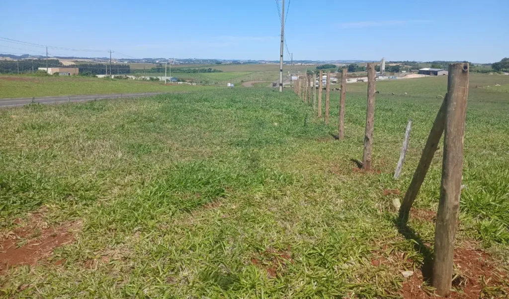 EPR Iguaçu realiza delimitação da faixa de domínio delimitação faixa de domínio