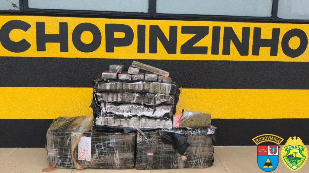 apreensão de maconha chopinzinho