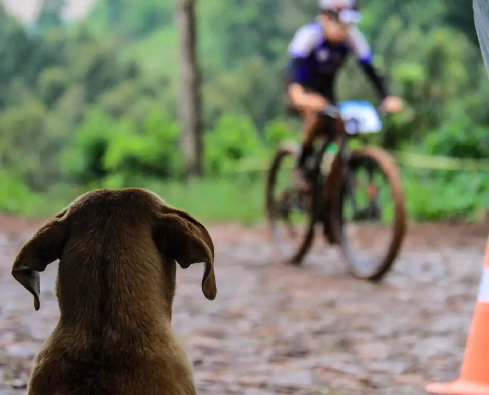 Chuva e emoção na Final do Mountain Bike dos JOJUPs caramelo jojups