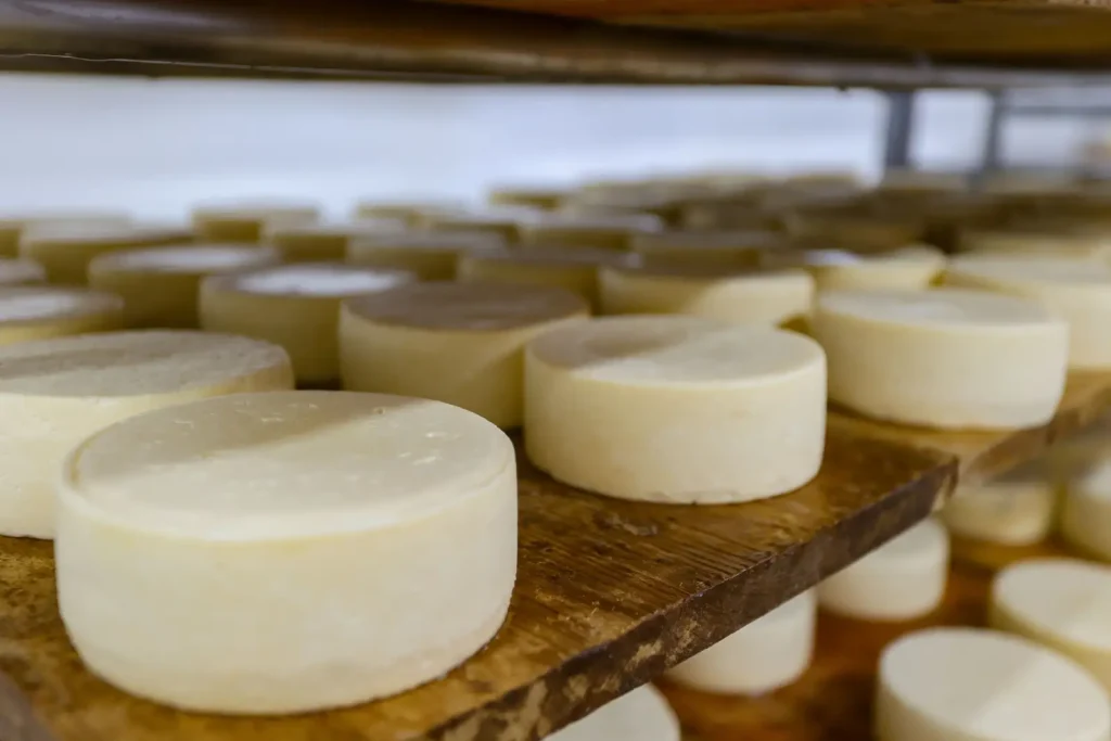 queijo witmarsum